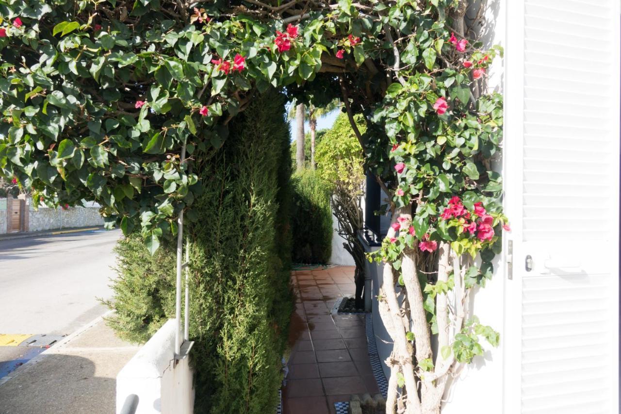 Apartamento Alextia La Barrosa Chiclana de la Frontera Exteriör bild