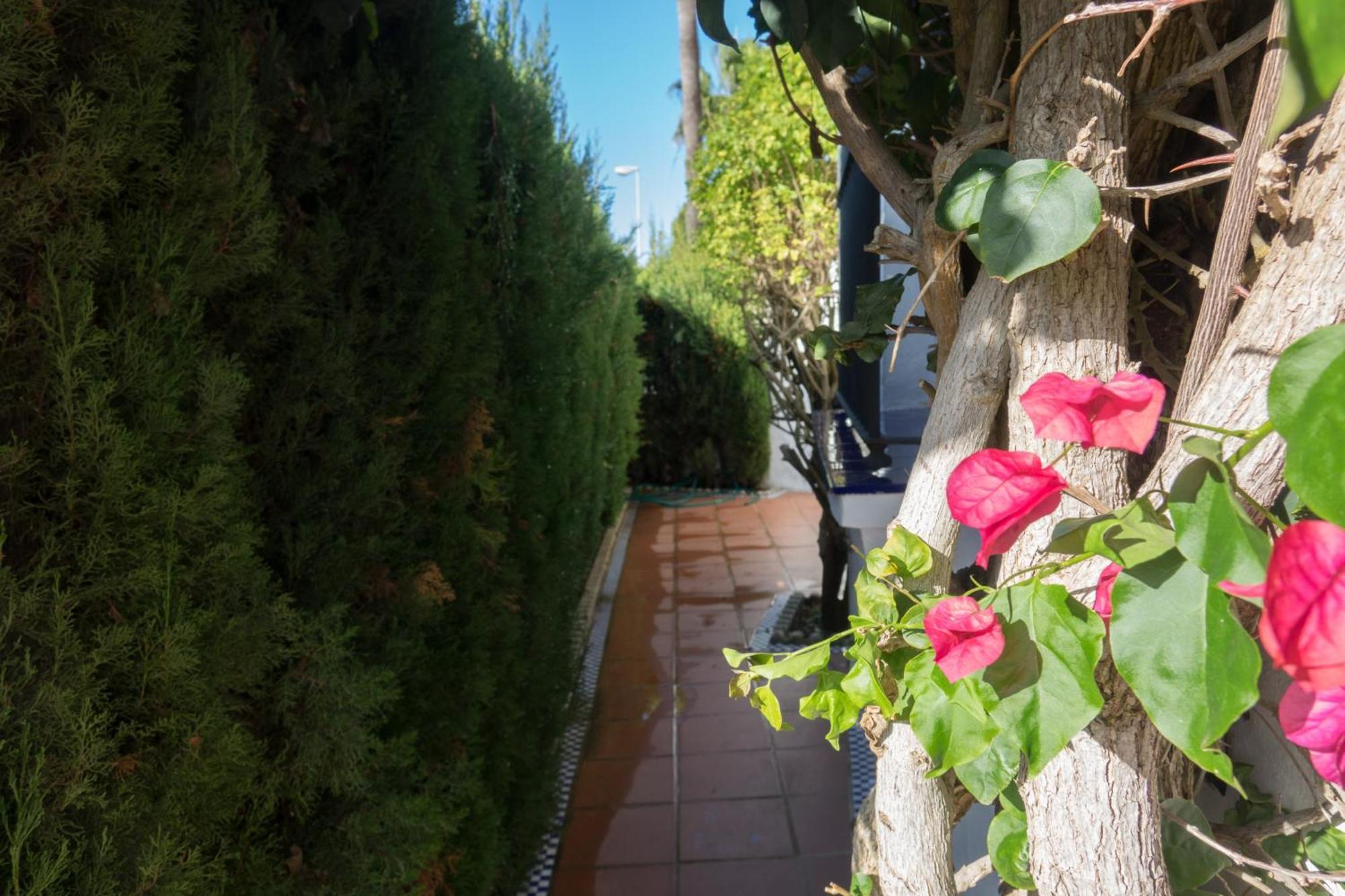 Apartamento Alextia La Barrosa Chiclana de la Frontera Exteriör bild